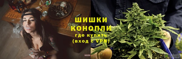 стафф Волосово